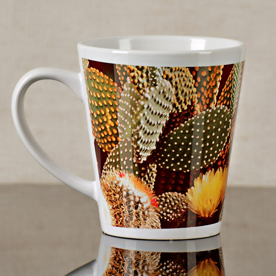 Kaktuss. Mazā latte krūze.