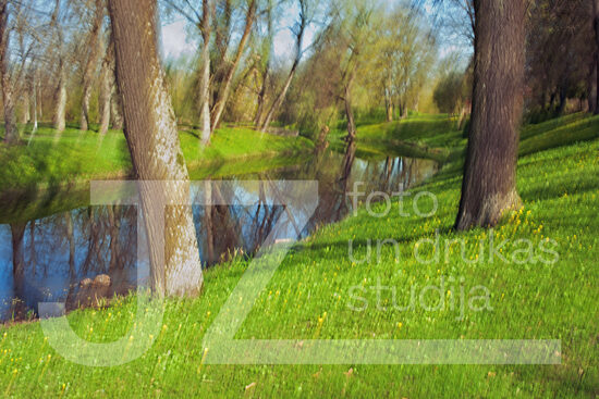 Dabas ritmu fotogrāfijas, foto gleznas
