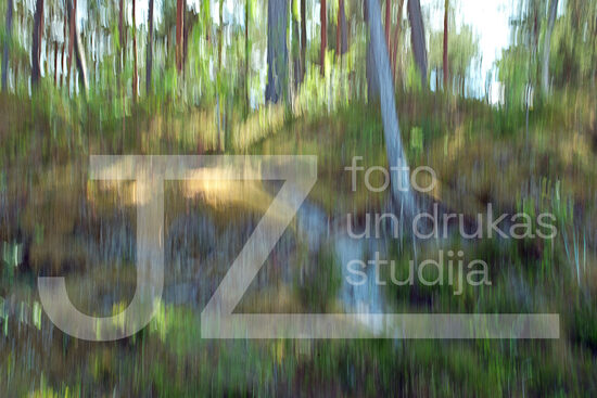 Dabas ritmu fotogrāfijas, foto gleznas