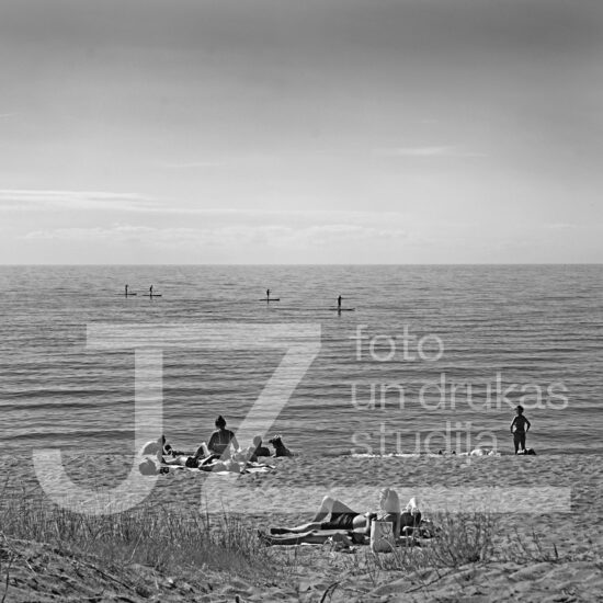 Fotogrāfija "Daba"
