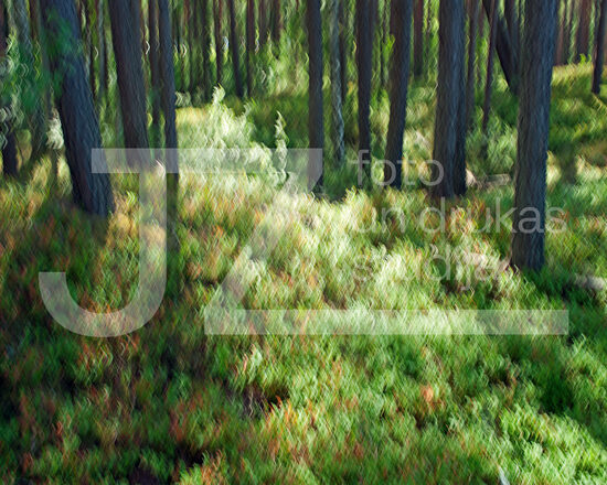 Dabas ritmu fotogrāfijas, foto gleznas