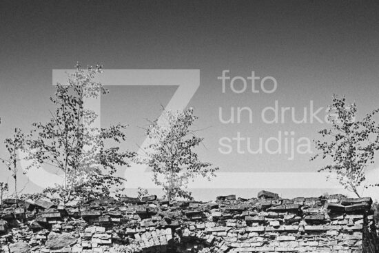 Fotogrāfija "Daba"