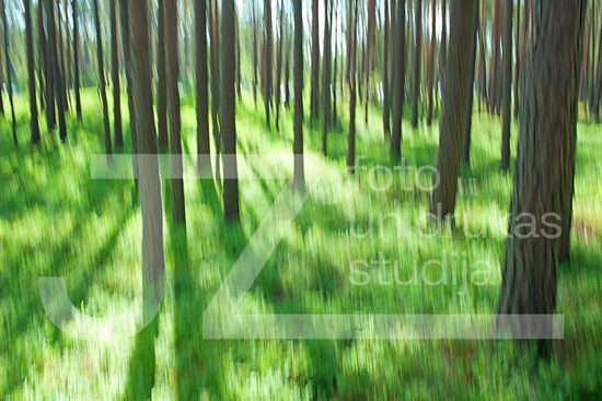Dabas ritmu fotogrāfijas, foto gleznas