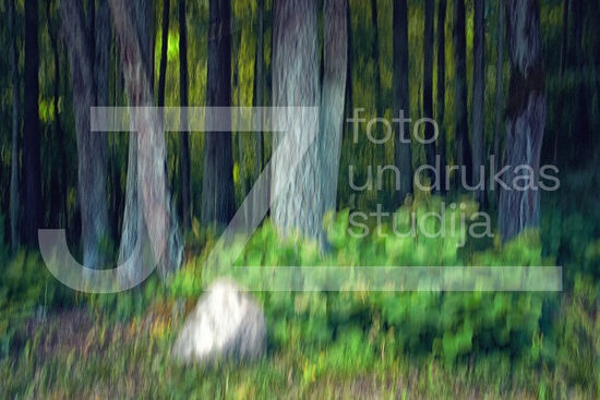 Dabas ritmu fotogrāfijas, foto gleznas