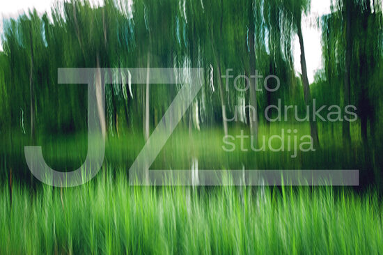 Dabas ritmu fotogrāfijas, foto gleznas