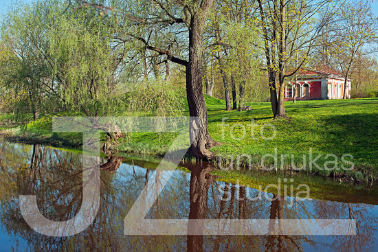 Fotogrāfija "Daba"