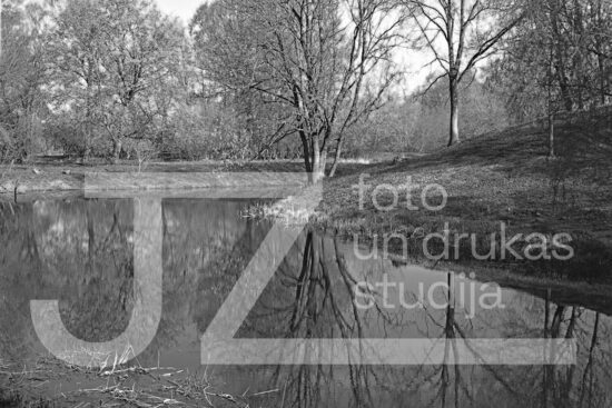 Fotogrāfija "Daba"