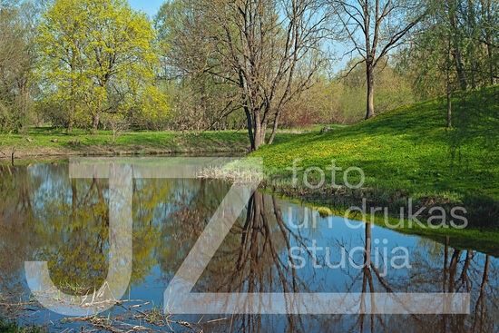 Fotogrāfija "Daba"