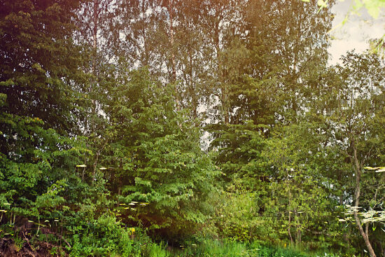 Faktūras - dažādi