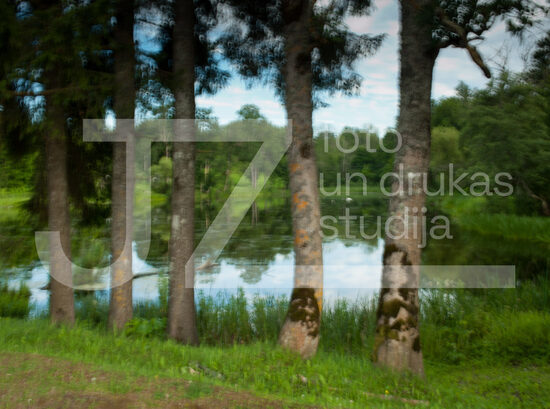Dabas ritmu fotogrāfijas, foto gleznas