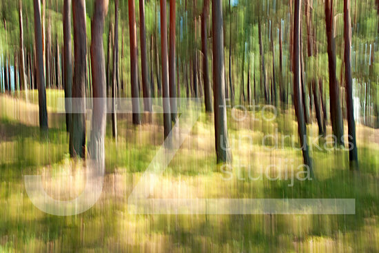 Dabas ritmu fotogrāfijas, foto gleznas