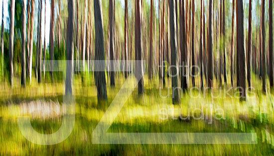 Dabas ritmu fotogrāfijas, foto gleznas