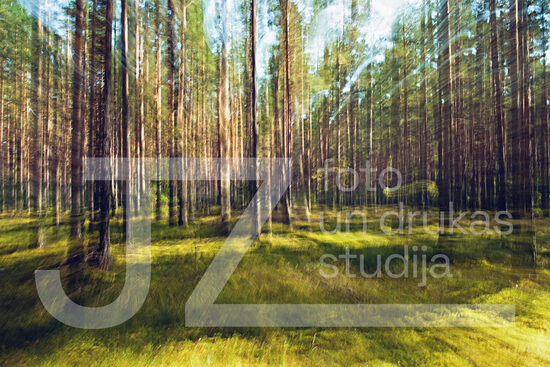 Dabas ritmu fotogrāfijas, foto gleznas