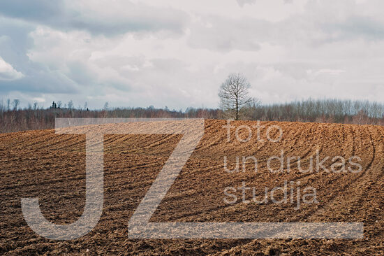 Fotogrāfija "Daba"