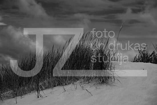 Izjūtas