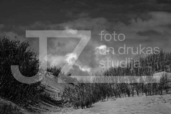 Izjūtas