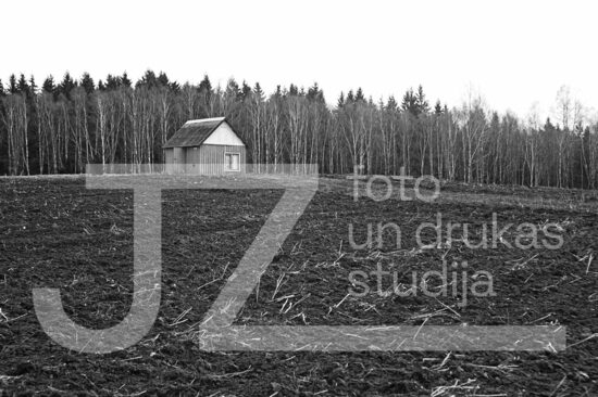 Fotogrāfija "Daba"