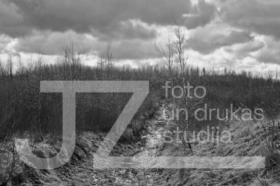 Fotogrāfija "Daba"