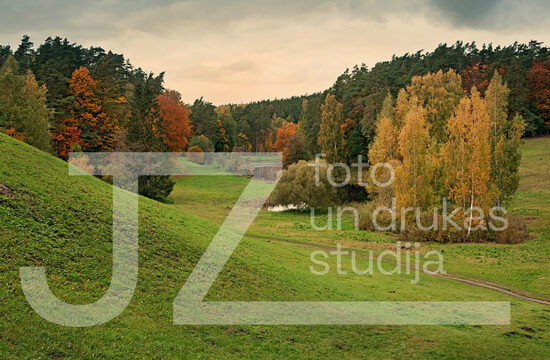 Fotogrāfija "Daba"