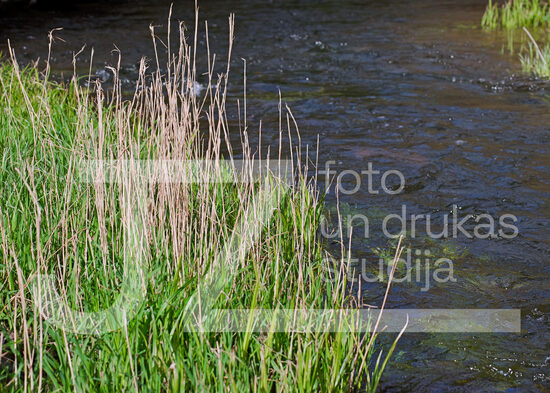 Fotogrāfija "Ūdeņi"
