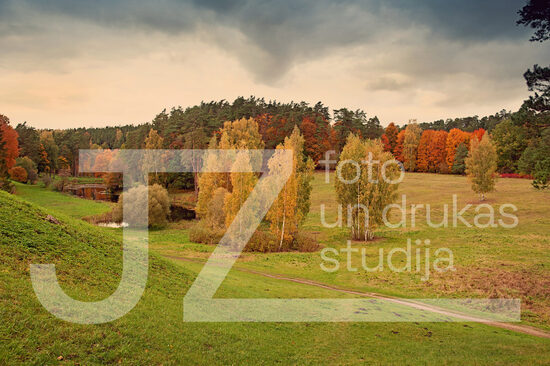 Fotogrāfija "Daba"