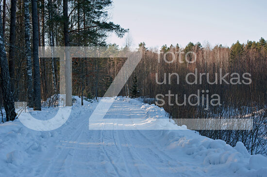 Fotogrāfija "Daba"
