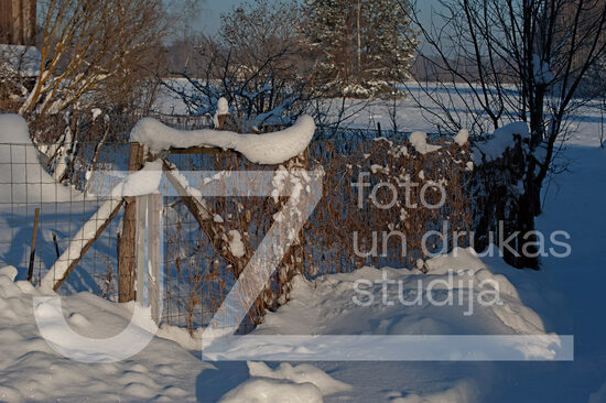 Fotogrāfija "Daba"