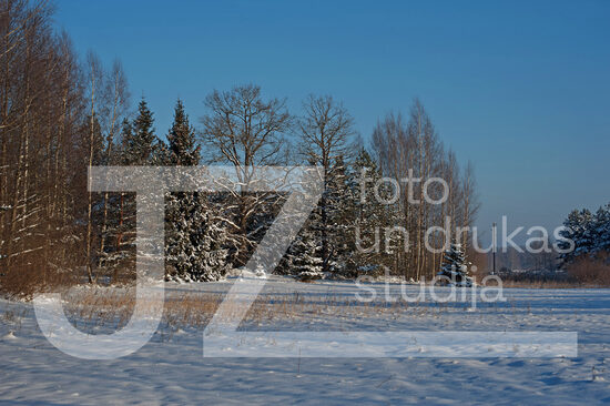 Fotogrāfija "Daba"