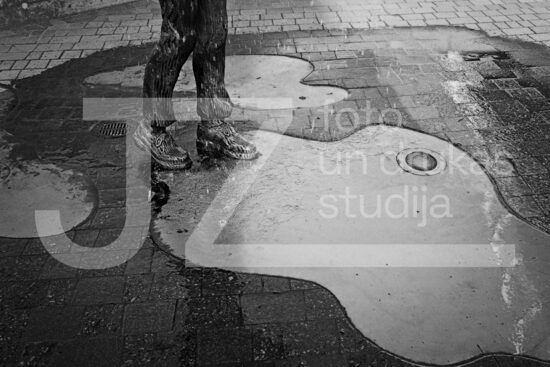 Jelgavas foto