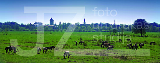Jelgavas foto
