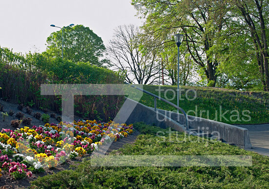 Jelgavas foto