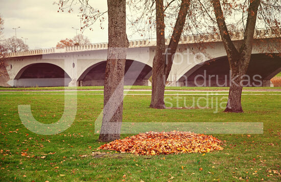 Jelgavas foto