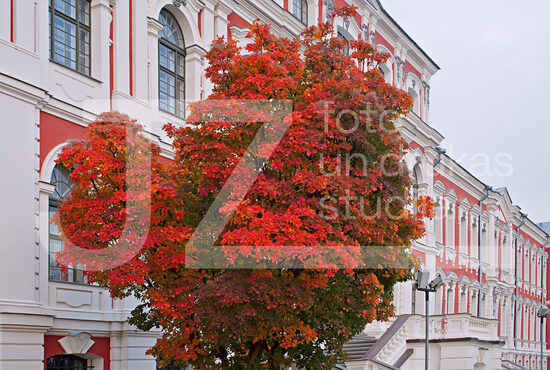Jelgavas foto