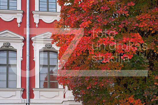 Jelgavas foto