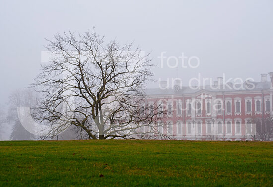Jelgavas foto
