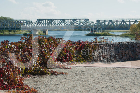 Jelgavas foto
