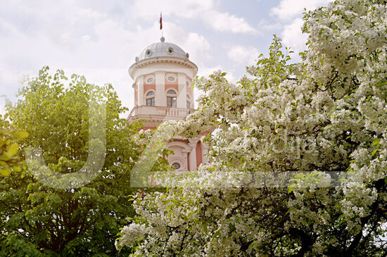 Jelgavas foto
