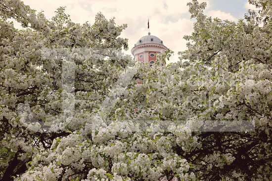 Jelgavas foto