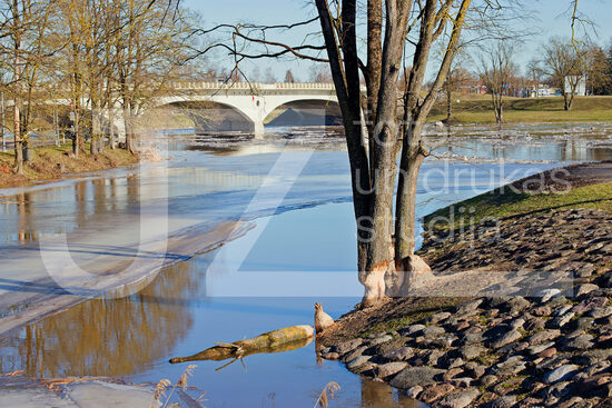 Jelgavas foto