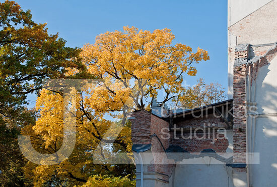 Jelgavas foto