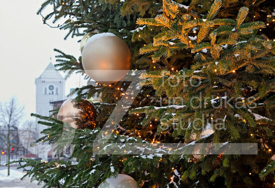 Jelgavas foto
