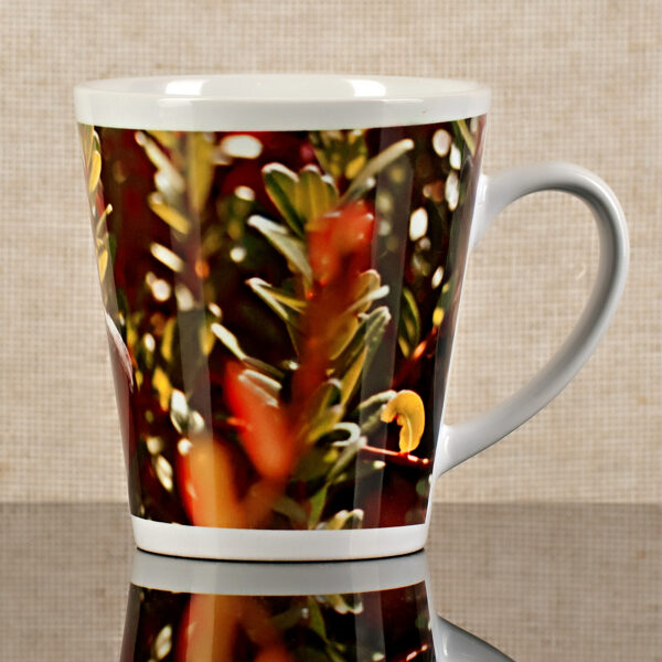 Dzērvenes. Mazā latte krūze